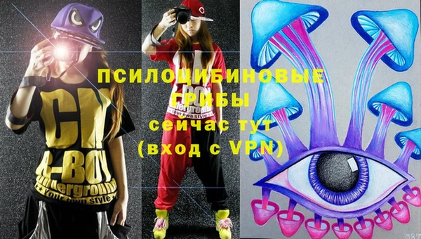 твердый Переславль-Залесский